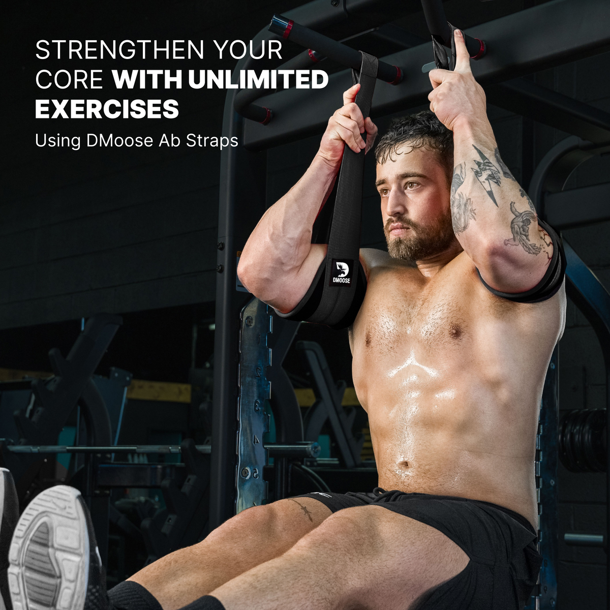 Hanging Ab Straps