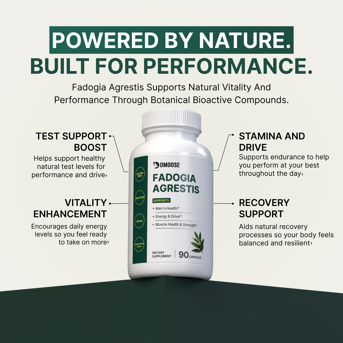Fadogia Natural Vitality Support