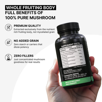 Mushroom Complex