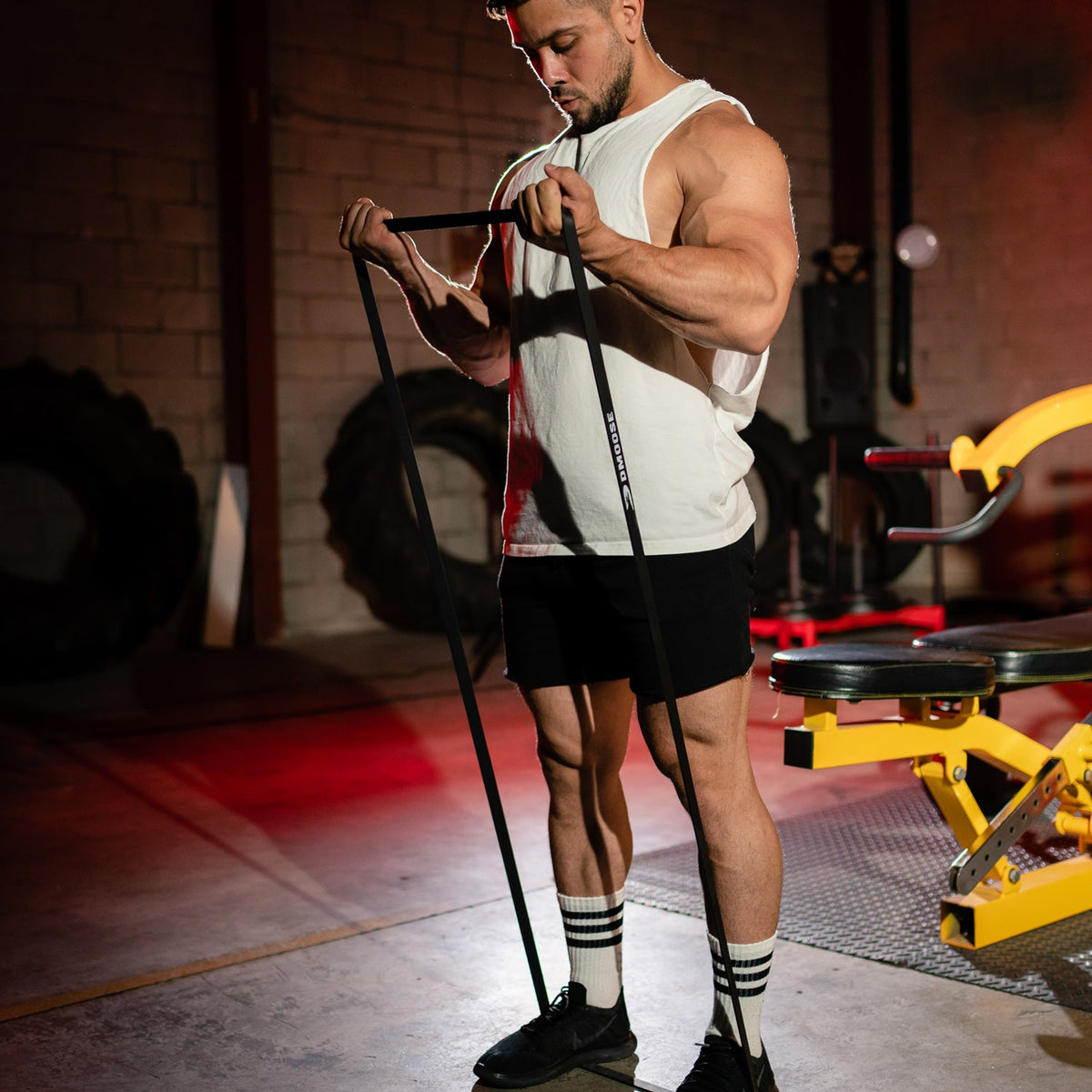 Pull Up Assist Bands